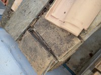 Vieilles parefeuilles