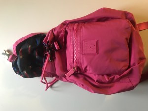 Lot sacs Tommy HIlfiger