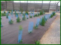 FILM BIODEGRADABLE AGROMA