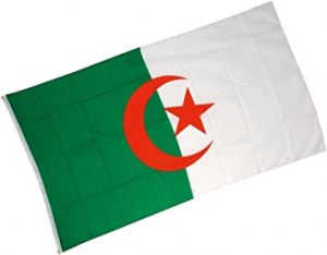 Lot drapeau coupe du monde france maroc tunisie portugal algerie 150 pays