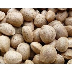 Amandes coques variete marcona 1ª cuality