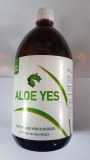 PUR JUS D’ALOE VERA YES 1L 99,8%
