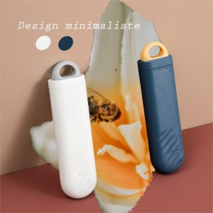 Brosse anti-poils animaux pour vêtements, canapés, voitures, ... DESTOCKAGE