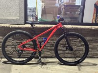 Alpaka 29 Hardtail Mountain Bike