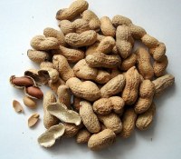 Andros - be nuts pâte à tartiner cacahuète croquant