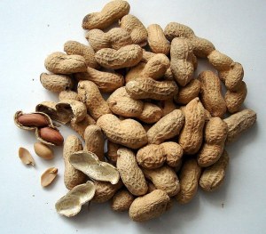 Andros - be nuts pâte à tartiner cacahuète croquant