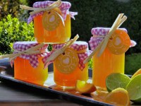 Andros - confiture allégée aux oranges