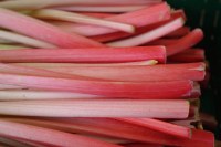 Andros - confiture allégée rhubarbe