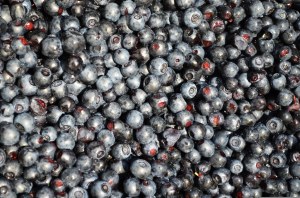 Andros - confiture de myrtilles avec -30% de sucres