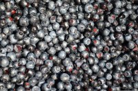 Andros - confiture de myrtilles avec -30% de sucres