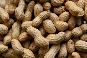 Andros - pâte à tartiner be nuts cacahuète croquant
