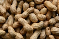 Andros - pâte à tartiner be nuts cacahuète croquant
