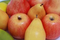 Andros - sport barre énergie à la pomme abricot et poire