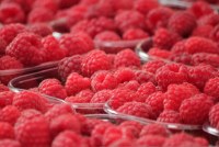 Andros - sport barre énergie de fruits rouges