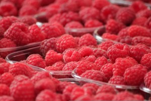 Andros - sport barre énergie de fruits rouges