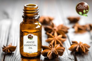 Produits en gros d'huile essentielle d'anis