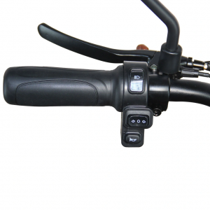 Kirest Fournisseur Triporteur électrique Transport de personnes - Homologué route