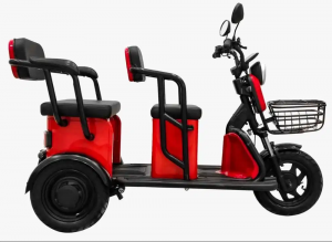 Kirest Fournisseur Triporteur électrique Transport de personnes - Homologué route