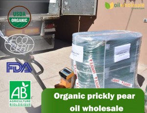 Moroccan argan oil wholesale