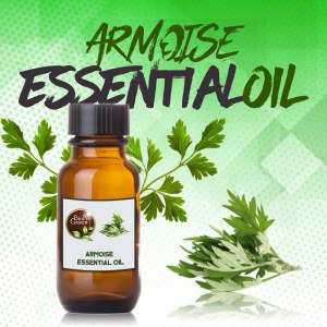 Huile essentielle d'Armoise Wholesale Suppliers