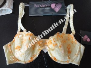 Nouveau : Lingerie Sandan's.