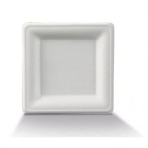 Assiettes Plulpe Carre 16x16 cm