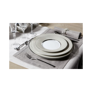 Carton de 24 - Assiettes croco irisés 27 cm