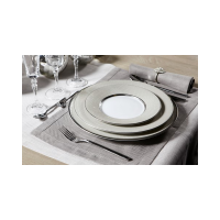 Carton de 24 - Assiettes croco irisés 27 cm