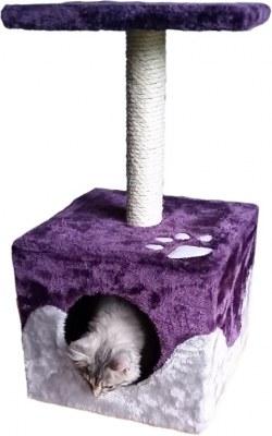 Arbres a chats neufs