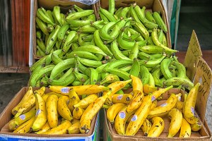 FOURNISSEURS DE DE MATIERES PREMIERES AGRICOLES