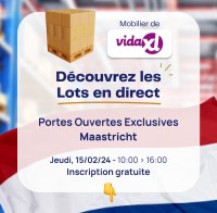 Lots de meubles vidaXL - Portes Ouvertes à Maastricht (Pays-Bas)