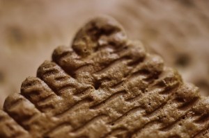 Belin - biscuits soufflés chipster l'original