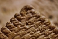 Belin - biscuits soufflés chipster l'original