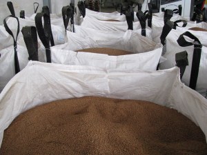 Grignon épuisé biomasse