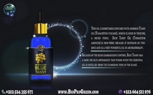 How to Use Blue Tansy Essential Oil