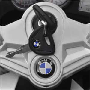 Kirest Grossiste Fournisseur France Motos Électriques Pour Enfants BMW 248