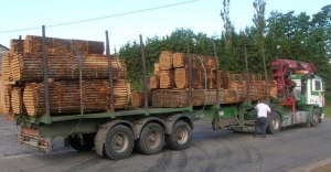 Offre de Bois de chauffage