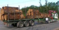 Offre de Bois de chauffage