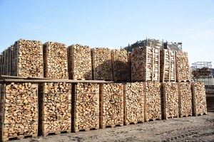 Offre de Bois de chauffage bien dur