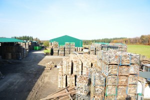 Vente Bois de chauffage bien dur