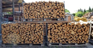 Vente Bois de chauffage