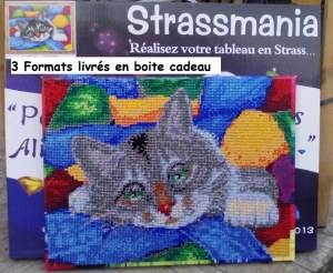 Kits pour la réalisation de tableaux en strass