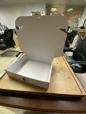 Coffret collier métallique avec laisse nylon réfléchissante pour chien