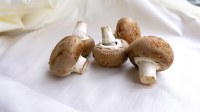 Bonduelle - champignons cuisinés à la grecque