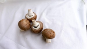Bonduelle - champignons émincés sans sulfite