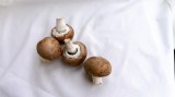 Bonduelle - champignon émincé sans sulfite sans additif