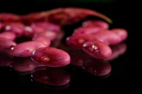 Bonduelle - haricots rouges cuits dans très peu de jus