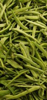 Bonduelle - haricots verts extra fins rangés