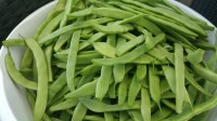 Bonduelle - haricots verts