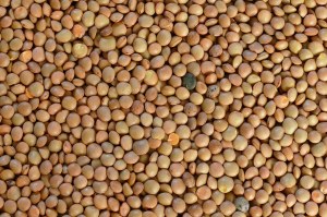 Bonduelle Lentilles Cuites à la Vapeur 310g